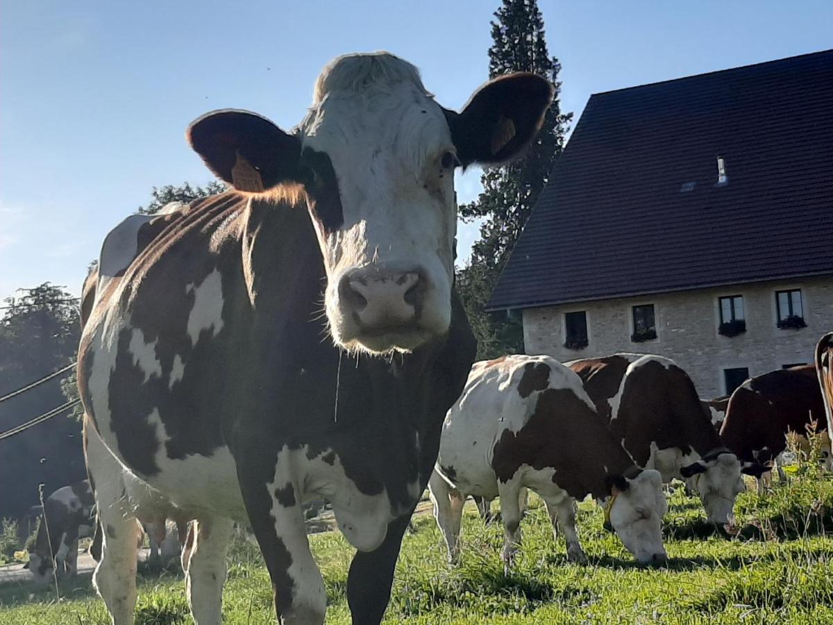 Gite Chez La So ! Avec Visite A La Ferme Arcon  Ngoại thất bức ảnh
