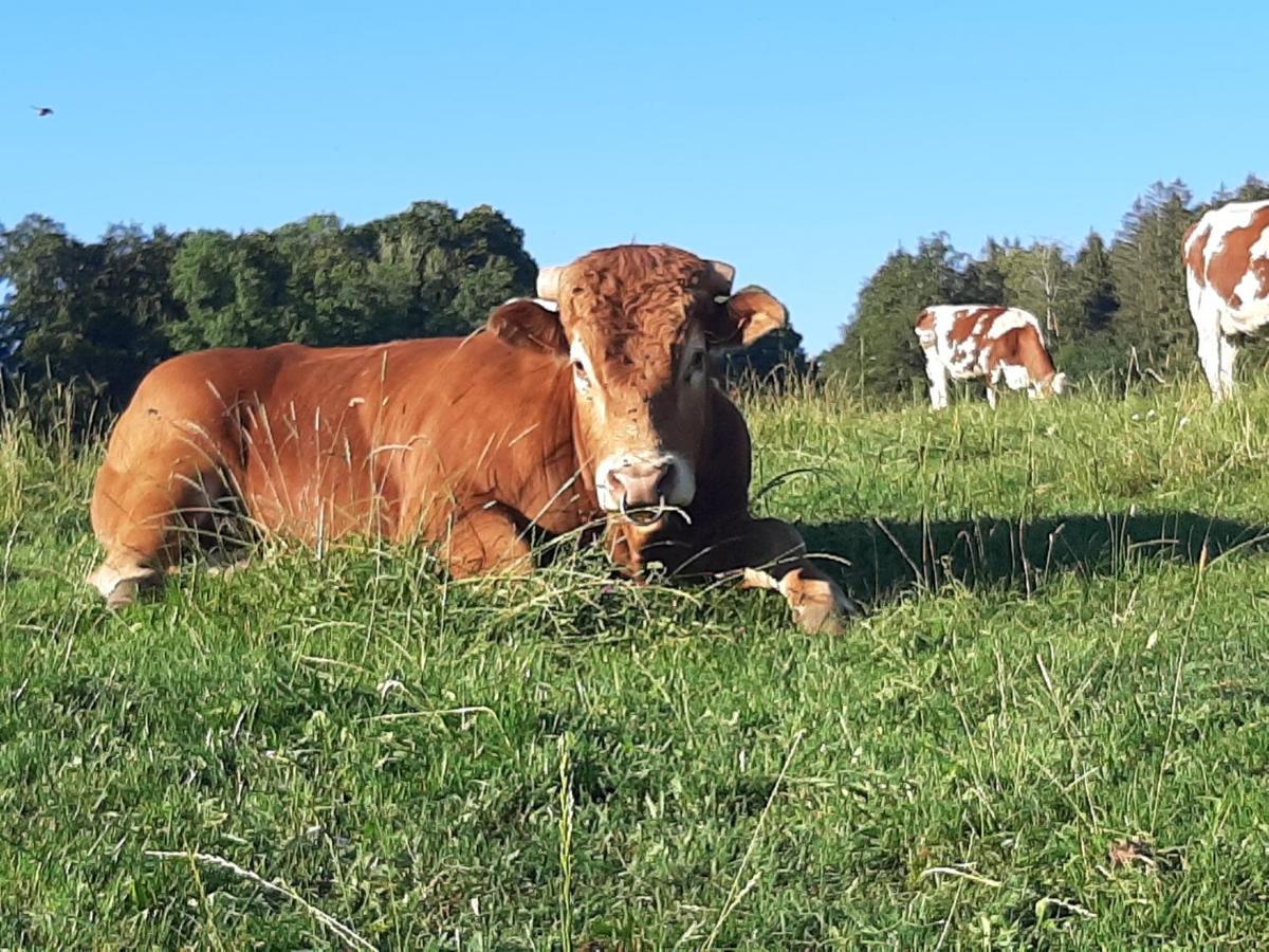 Gite Chez La So ! Avec Visite A La Ferme Arcon  Ngoại thất bức ảnh